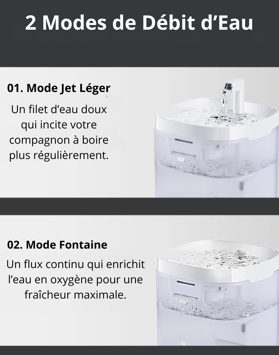Fontaine à Eau Automatique ROJECO pour Chats & Chiens – Ultra Silencieuse avec Double Filtration