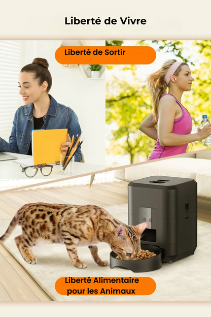 Distributeur Intelligént pour Chiens & Chats – Écran LCD & Programmation Facile