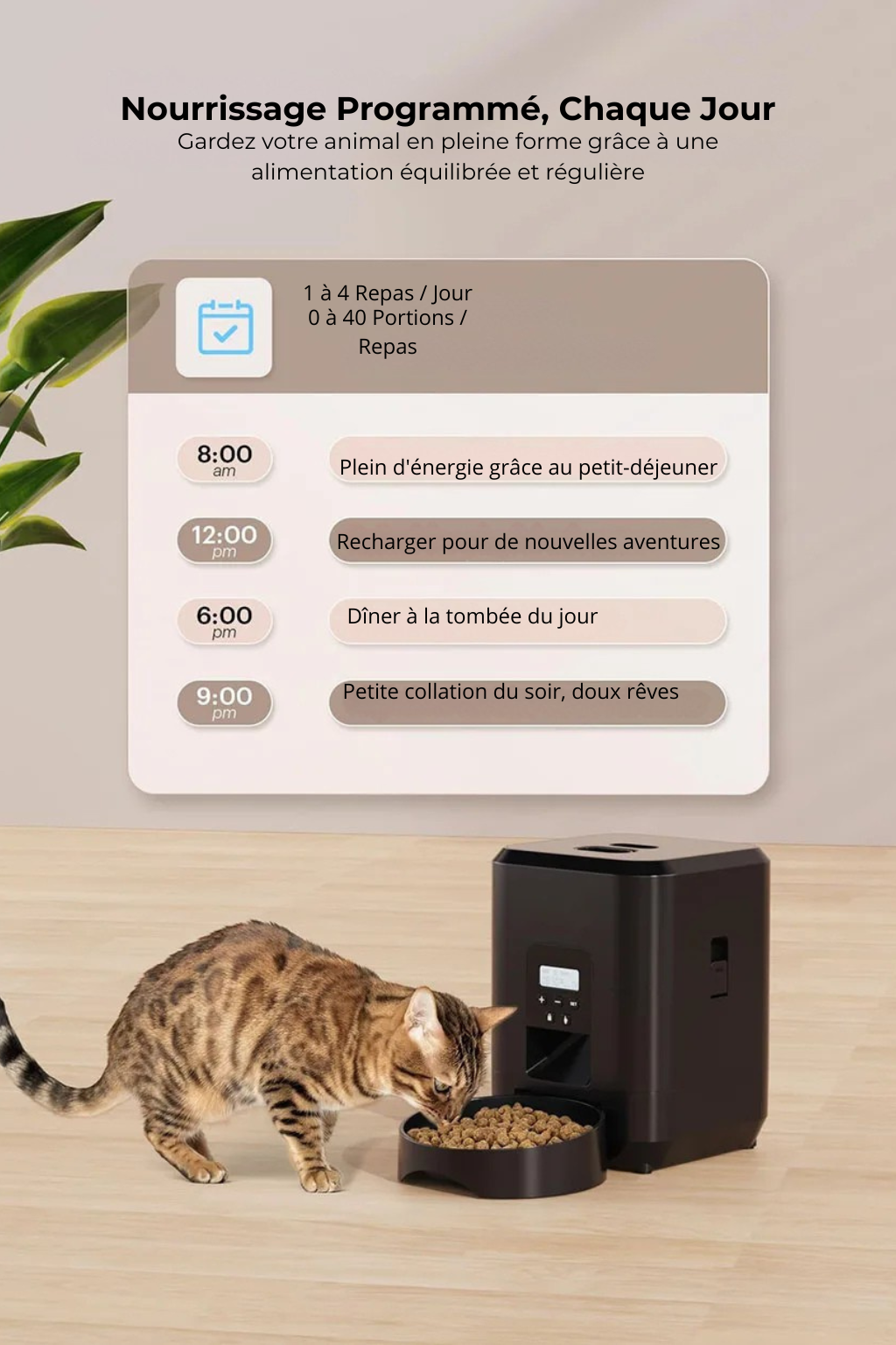 Distributeur Intelligént pour Chiens & Chats – Écran LCD & Programmation Facile