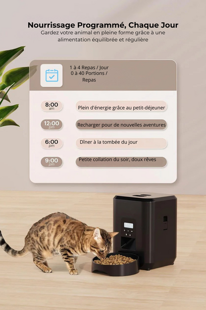 Distributeur Intelligént pour Chiens & Chats – Écran LCD & Programmation Facile