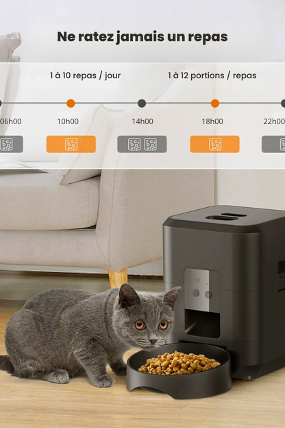 Distributeur Intelligént pour Chiens & Chats – Écran LCD & Programmation Facile