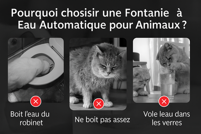 Fontaine à Eau Automatique ROJECO pour Chats & Chiens – Ultra Silencieuse avec Double Filtration