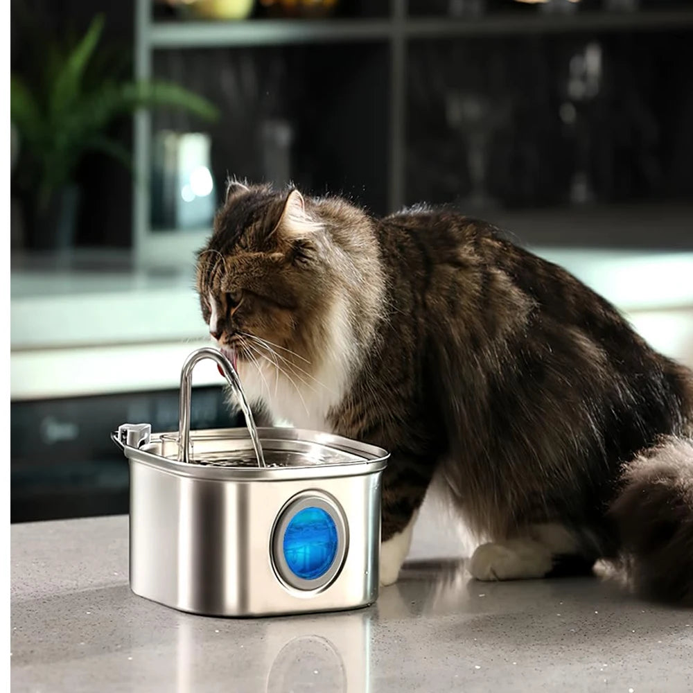 ZyFeeder Inox 2.2L – Fontaine à Eau Automatique pour Chat & Petit Chien