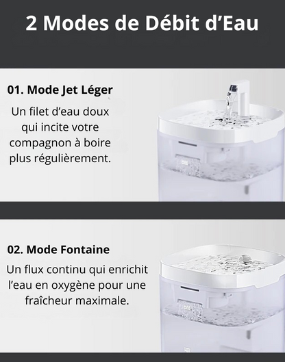 Fontaine à Eau Automatique ROJECO pour Chats & Chiens – Ultra Silencieuse avec Double Filtration